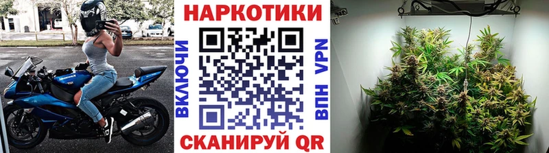 ГАШИШ Кемь