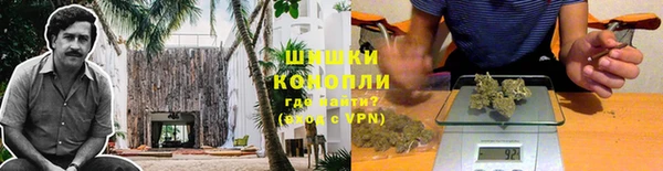 apvp Инта