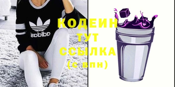 apvp Инта