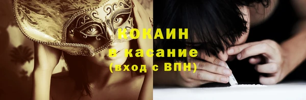 apvp Инта