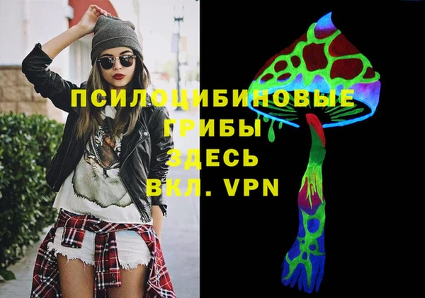 дживик Киренск